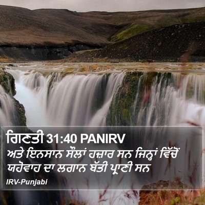 ਗਿਣਤੀ 31:40 PANIRV Bible Verse Image