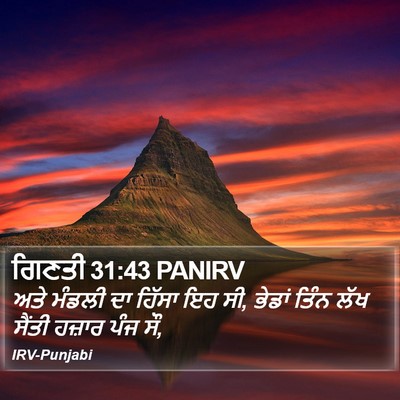 ਗਿਣਤੀ 31:43 PANIRV Bible Verse Image