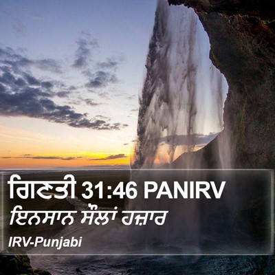 ਗਿਣਤੀ 31:46 PANIRV Bible Verse Image