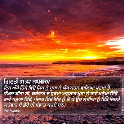 ਗਿਣਤੀ 31:47 PANIRV Bible Verse Image