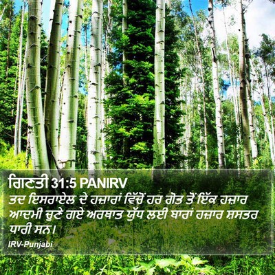 ਗਿਣਤੀ 31:5 PANIRV Bible Verse Image