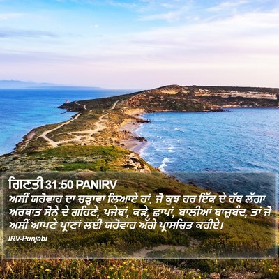 ਗਿਣਤੀ 31:50 PANIRV Bible Verse Image