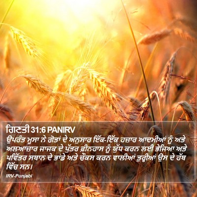 ਗਿਣਤੀ 31:6 PANIRV Bible Verse Image