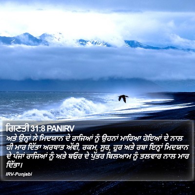 ਗਿਣਤੀ 31:8 PANIRV Bible Verse Image