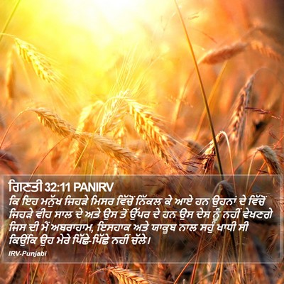 ਗਿਣਤੀ 32:11 PANIRV Bible Verse Image