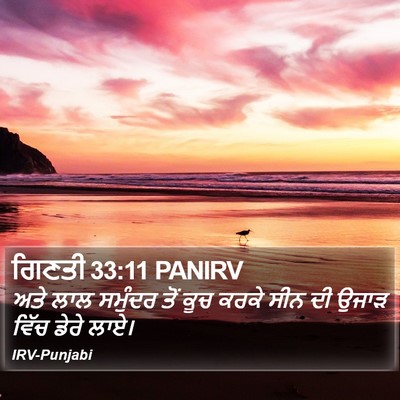 ਗਿਣਤੀ 33:11 PANIRV Bible Verse Image