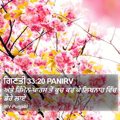 ਗਿਣਤੀ 33:20 PANIRV Bible Verse Image