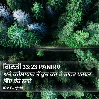 ਗਿਣਤੀ 33:23 PANIRV Bible Verse Image