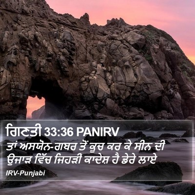 ਗਿਣਤੀ 33:36 PANIRV Bible Verse Image