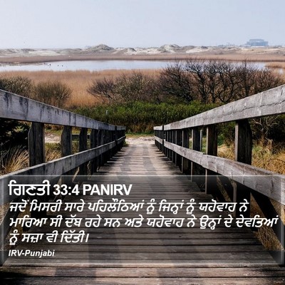 ਗਿਣਤੀ 33:4 PANIRV Bible Verse Image