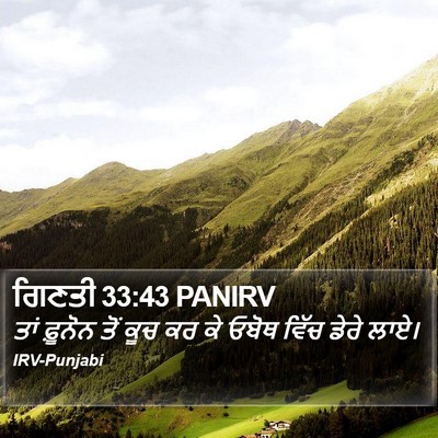 ਗਿਣਤੀ 33:43 PANIRV Bible Verse Image