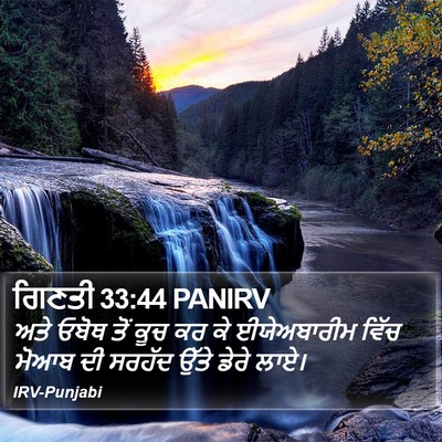 ਗਿਣਤੀ 33:44 PANIRV Bible Verse Image