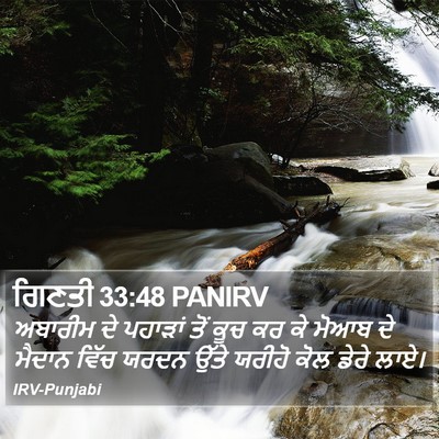 ਗਿਣਤੀ 33:48 PANIRV Bible Verse Image