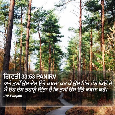 ਗਿਣਤੀ 33:53 PANIRV Bible Verse Image