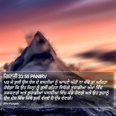 ਗਿਣਤੀ 33:55 PANIRV Bible Verse Image