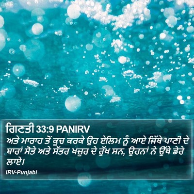 ਗਿਣਤੀ 33:9 PANIRV Bible Verse Image