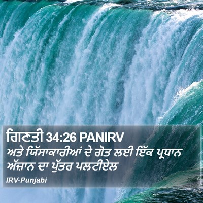 ਗਿਣਤੀ 34:26 PANIRV Bible Verse Image