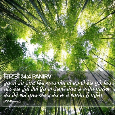 ਗਿਣਤੀ 34:4 PANIRV Bible Verse Image