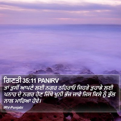 ਗਿਣਤੀ 35:11 PANIRV Bible Verse Image