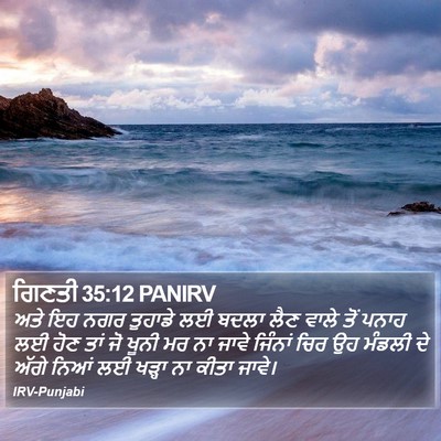 ਗਿਣਤੀ 35:12 PANIRV Bible Verse Image
