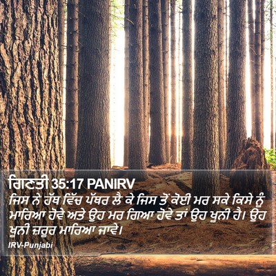 ਗਿਣਤੀ 35:17 PANIRV Bible Verse Image