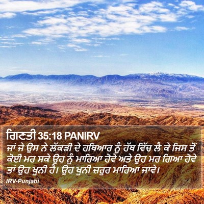 ਗਿਣਤੀ 35:18 PANIRV Bible Verse Image