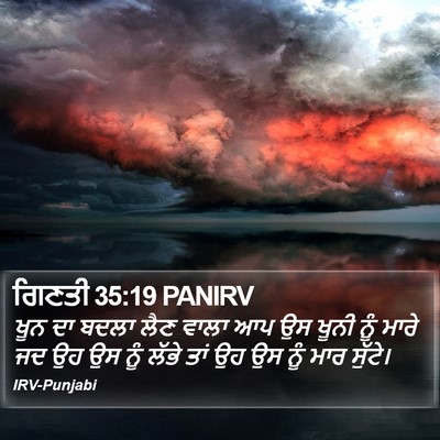 ਗਿਣਤੀ 35:19 PANIRV Bible Verse Image