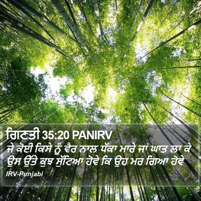 ਗਿਣਤੀ 35:20 PANIRV Bible Verse Image