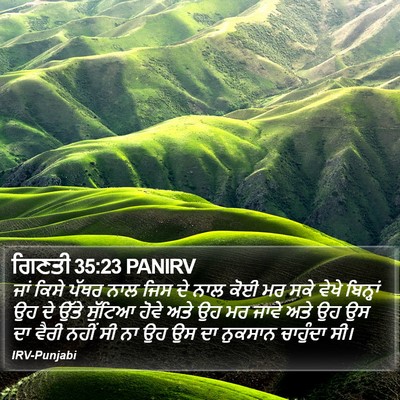 ਗਿਣਤੀ 35:23 PANIRV Bible Verse Image