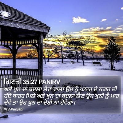 ਗਿਣਤੀ 35:27 PANIRV Bible Verse Image