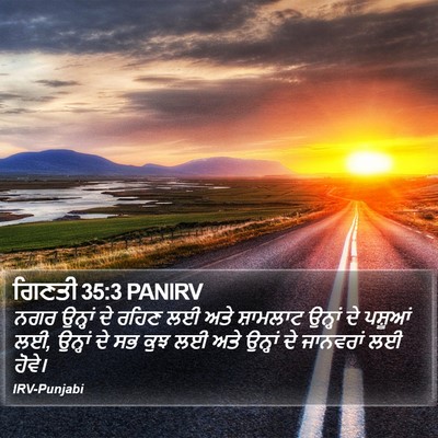 ਗਿਣਤੀ 35:3 PANIRV Bible Verse Image