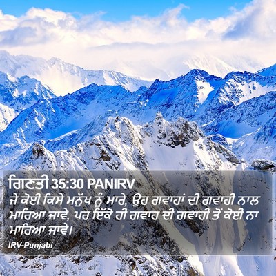 ਗਿਣਤੀ 35:30 PANIRV Bible Verse Image
