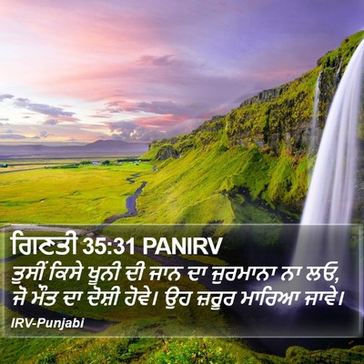 ਗਿਣਤੀ 35:31 PANIRV Bible Verse Image