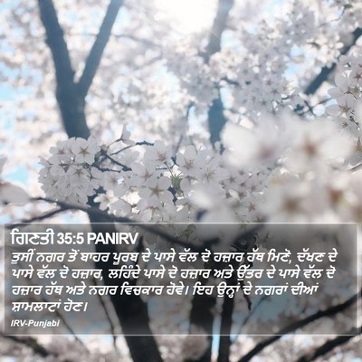 ਗਿਣਤੀ 35:5 PANIRV Bible Verse Image