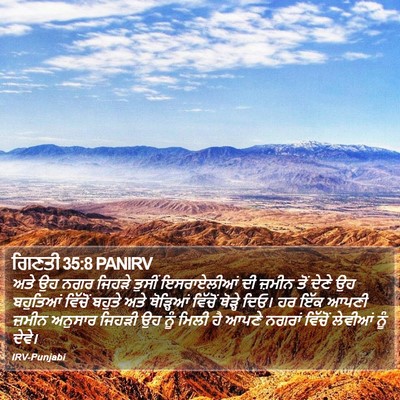 ਗਿਣਤੀ 35:8 PANIRV Bible Verse Image