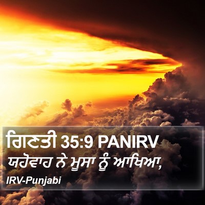 ਗਿਣਤੀ 35:9 PANIRV Bible Verse Image