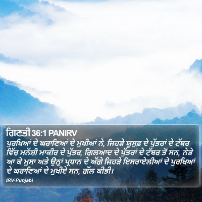 ਗਿਣਤੀ 36:1 PANIRV Bible Verse Image