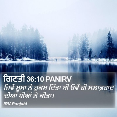 ਗਿਣਤੀ 36:10 PANIRV Bible Verse Image