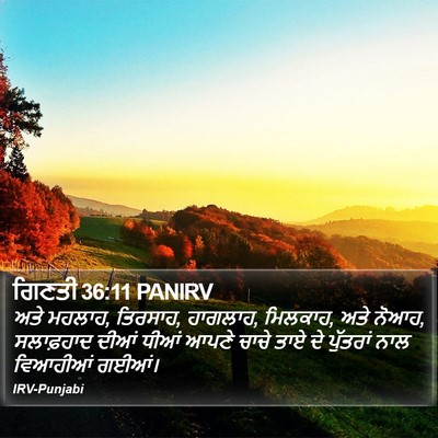 ਗਿਣਤੀ 36:11 PANIRV Bible Verse Image