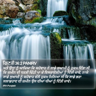 ਗਿਣਤੀ 36:2 PANIRV Bible Verse Image