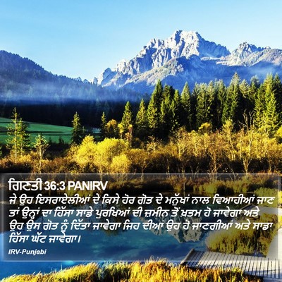ਗਿਣਤੀ 36:3 PANIRV Bible Verse Image