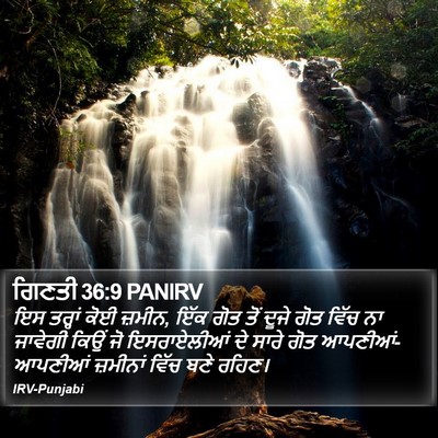 ਗਿਣਤੀ 36:9 PANIRV Bible Verse Image
