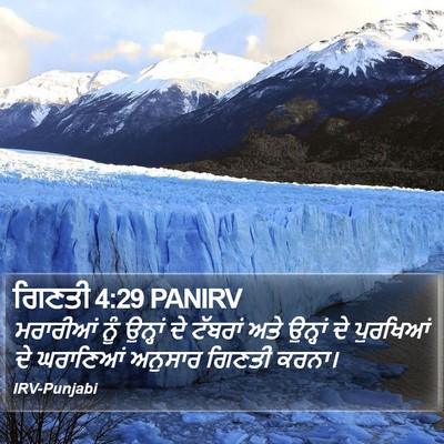 ਗਿਣਤੀ 4:29 PANIRV Bible Verse Image