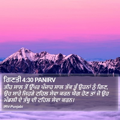 ਗਿਣਤੀ 4:30 PANIRV Bible Verse Image