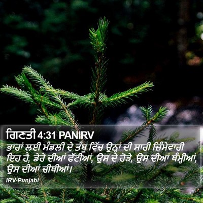 ਗਿਣਤੀ 4:31 PANIRV Bible Verse Image
