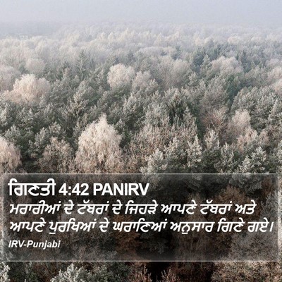 ਗਿਣਤੀ 4:42 PANIRV Bible Verse Image