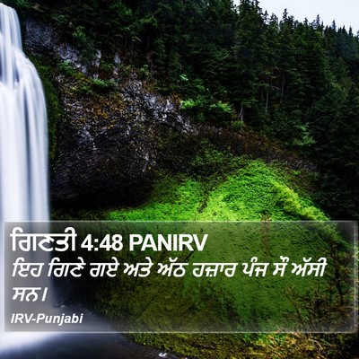 ਗਿਣਤੀ 4:48 PANIRV Bible Verse Image