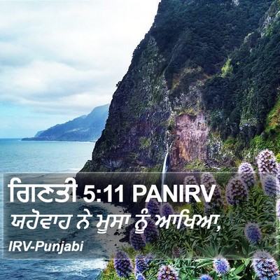 ਗਿਣਤੀ 5:11 PANIRV Bible Verse Image