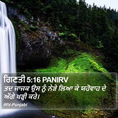 ਗਿਣਤੀ 5:16 PANIRV Bible Verse Image