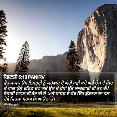 ਗਿਣਤੀ 5:18 PANIRV Bible Verse Image